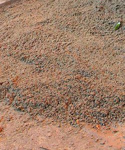 Цементно-песчаные смеси